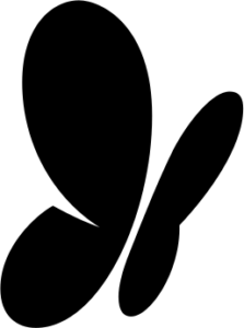 MSN 